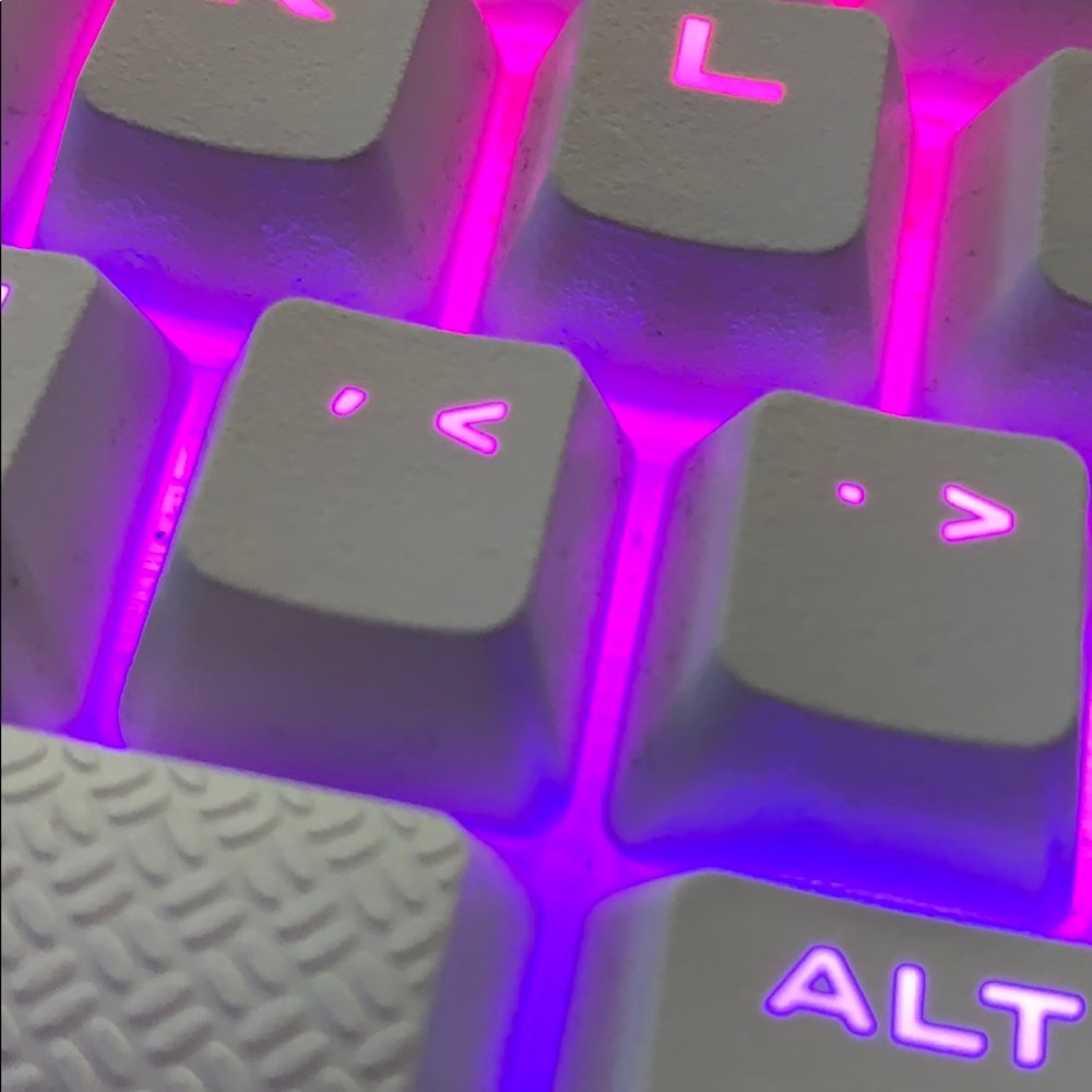 Meet your Posher, Angelica